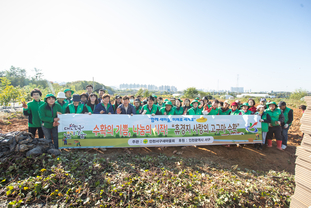 인천 서구 새마을회, ‘불우이웃돕기 휴경지 고구마 수확’ 행사 개최