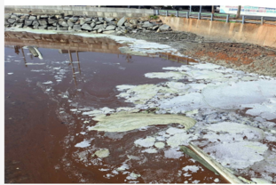 K-김 수출 호황 속 폐수 방류 논란…고흥 풍남항 환경오염 의혹 제기