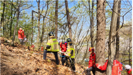 인천시, 봄철 산불 총력 대응…합동훈련으로 현장 대응력 점검